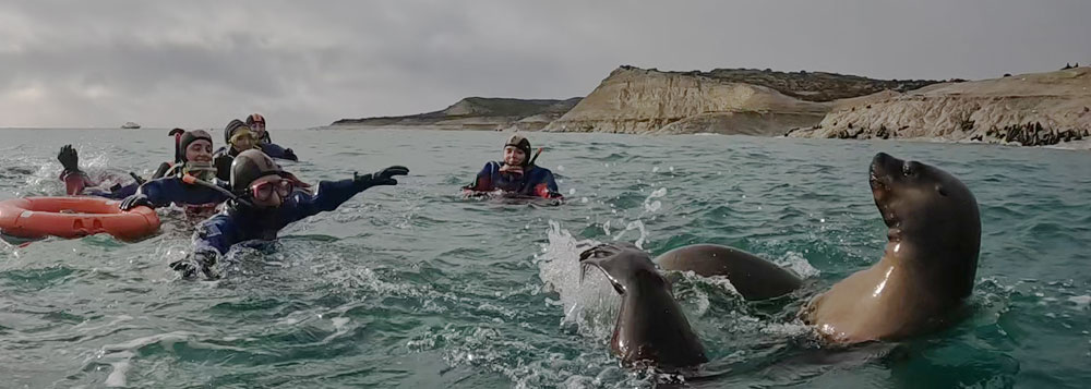 Ocean Divers | Snorkel y buceo con lobos marinos en Puerto Madryn